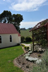DSC_5920 Leaning Church Vineyard
