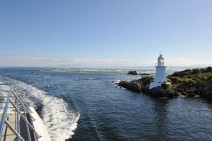 Coming back from the harbour mouth - Gordon River