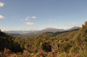 DSC_7036 Along the way