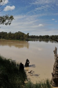 Murray-Darling confluence