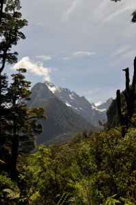 A stunning Fiordland view