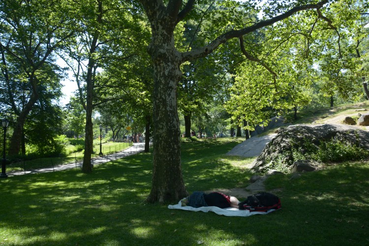 Friendly shade for sleepers!