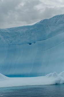 antarctica-6