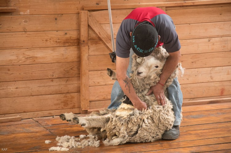 after-antarctica-1-5